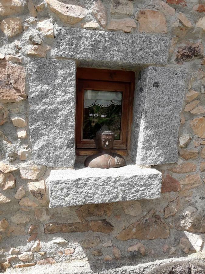 El Solei Paraiso En El Montseny Arbúcies Exterior foto